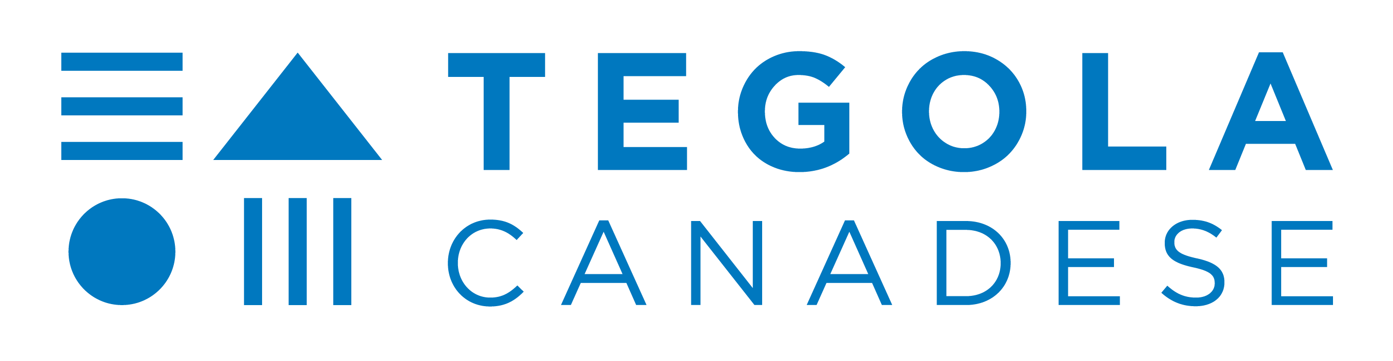 Tegola Canadese - stavební elementy